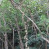 Tây Ninh Xuân Quý Tỵ